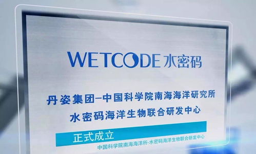 年終盤(pán)點(diǎn) 從年輕化角度看2017年的水密碼洗滌用品