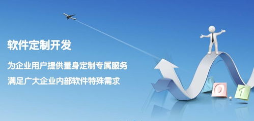 寧河企業(yè)管理系統(tǒng)開發(fā) 軟件外包服務(wù)的優(yōu)勢(shì)與實(shí)施策略