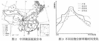 服務(wù)外包的趨勢(shì)與效益分析